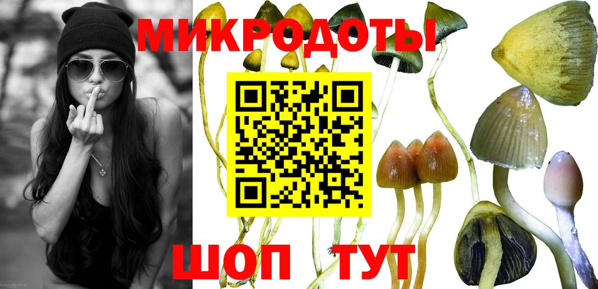 Галлюциногенные грибы ЛСД Новокубанск