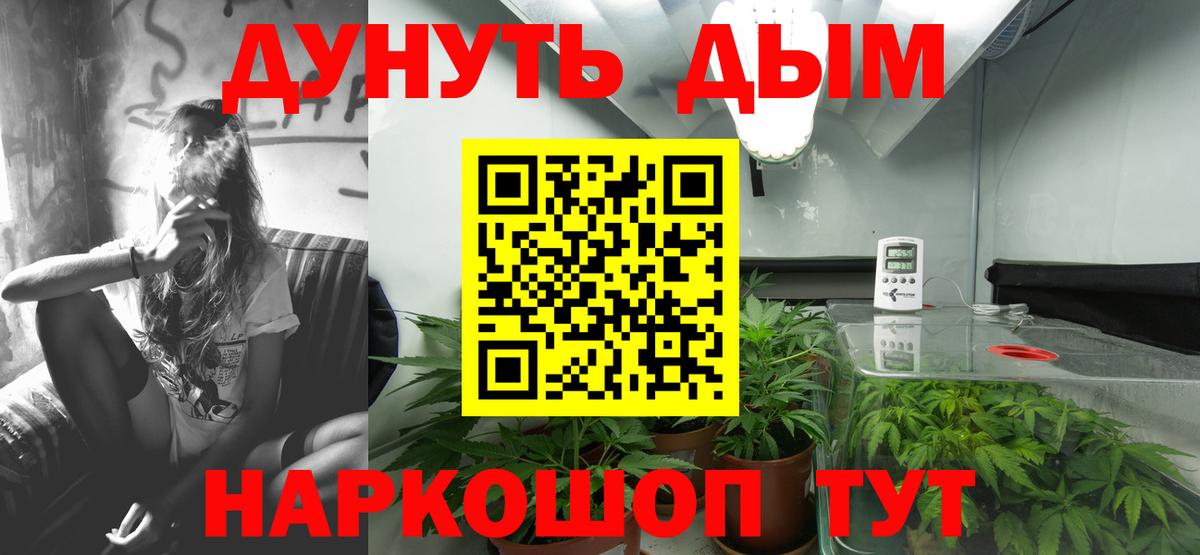 Бошки Шишки SATIVA & INDICA  Каннабис Ganja  Новокубанск  Вход с VPN  Марихуана сатива 