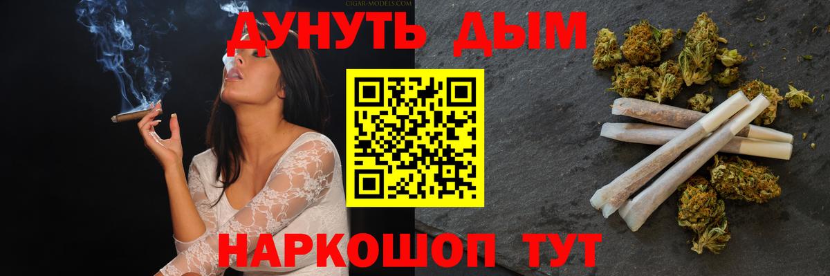 Бошки Шишки сатива Новокубанск